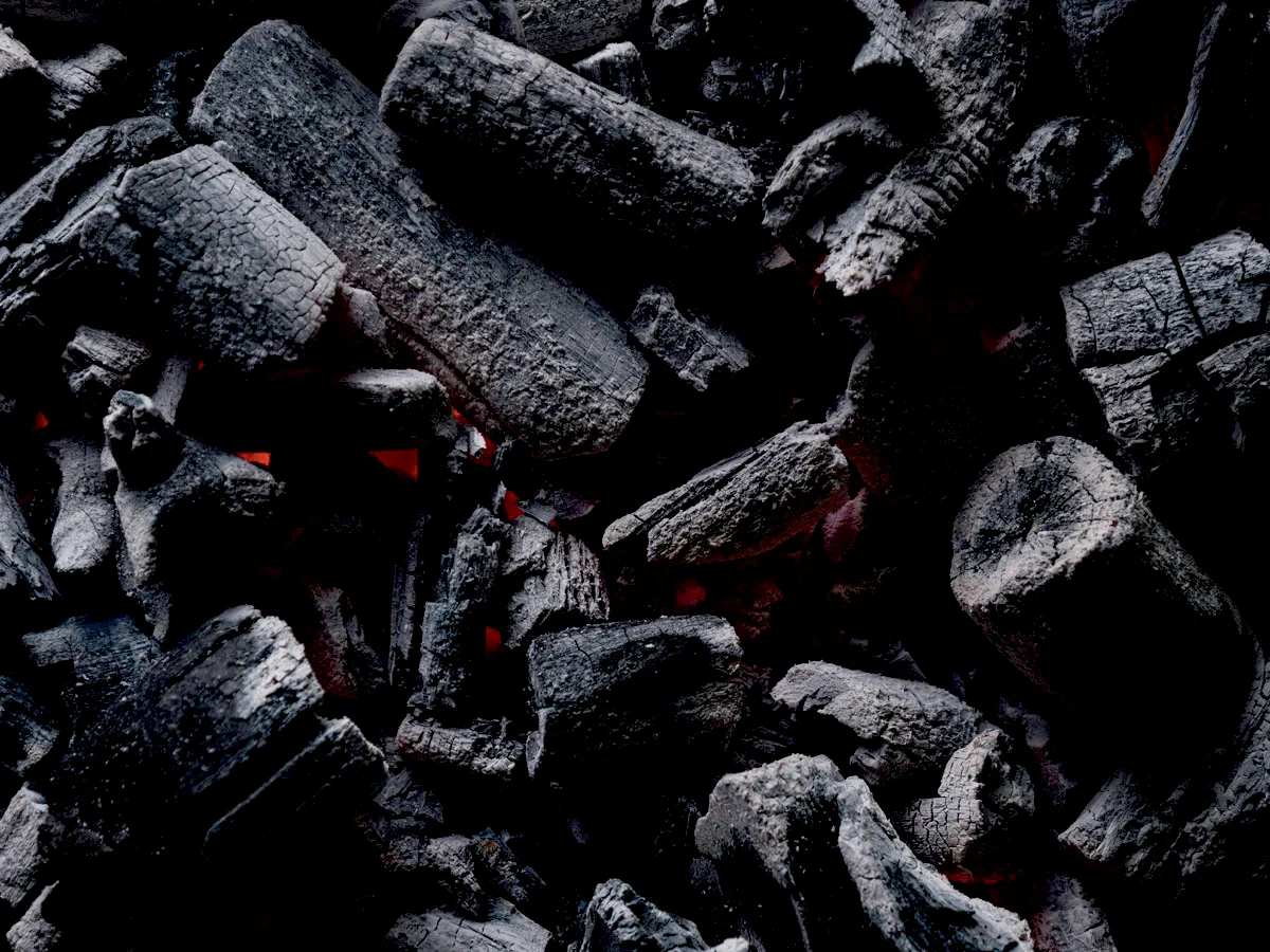 Acacia Hardwood Charcoal photographs
